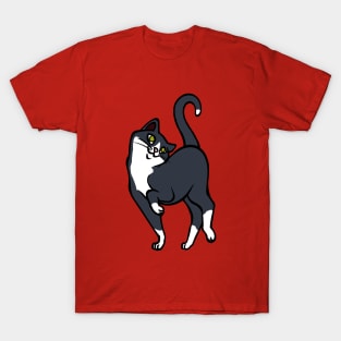 Begging for pettings--Tuxedo Cat Style T-Shirt